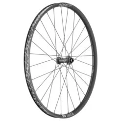 Dt-swiss Roue Avant VTT DT Swiss E 1900 Spline 29" Disque Center Lock